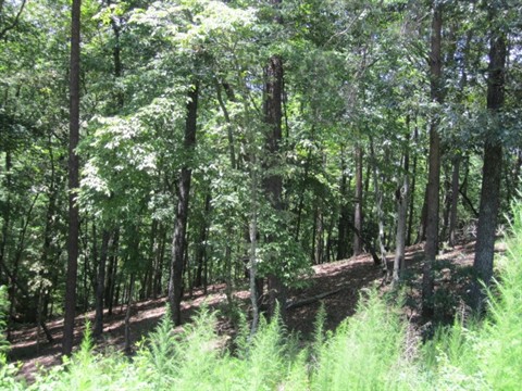 Image of Property